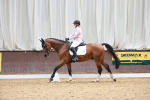 SBM_010981