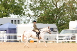 SBM_18185