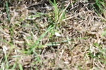 SBM_10064