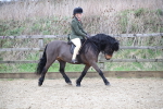SBM_006321