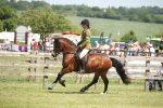 SBM_06960