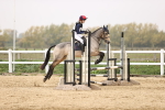 SBM_002342