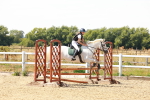 SBM_003766