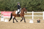SBM_010593