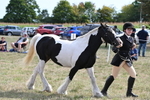 WJ6_6635