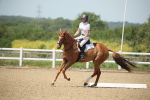 SBM_008906