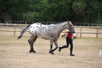 WJ6_8535