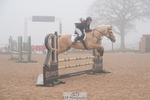 Cls 30 Academy Team Horse 85cm portfolio