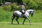3E7A8210