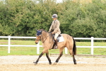 SBM_001425