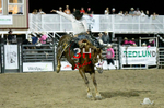 3HRodeo8-4-24_CFD_3HR-YUMA- 3465_A