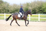 SBM_007293