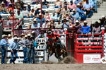 3HRodeo7-19-25_CFD_03922_