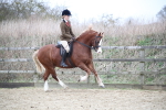 SBM_006340