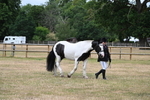 WJ6_4587