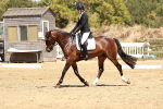 SBM_002550