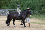 WJ7_9679
