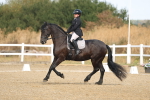 SBM_008266