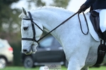 459-CEIDE.HUMPHRY-Helen.Hickson-DR portfolio