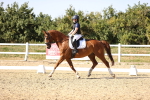 SBM_007508