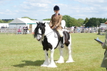 SBM_17239