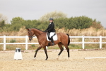 SBM_001866
