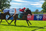 310526-Race 6-Mountain Road-9298