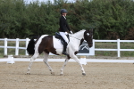 SBM_001403