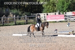 BPP_8327