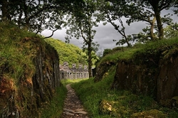 Woodland Pathway.