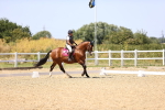 SBM_012247
