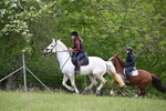 WJ6_1563