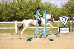 SBM_001754