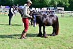 SBM_09515