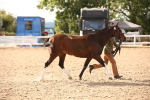 SBM_08201