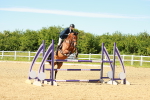 SBM_002928