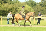 SBM_67404