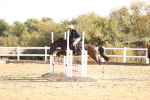 SBM_001036