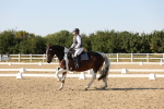 SBM_007002