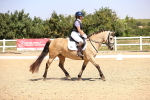 SBM_004084