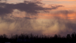 Snowstorm at Sunrise in Noethern Sweden