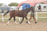 SBM_07616
