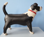 Bob the Dog