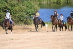 WJ6_7769