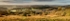 210A7965-Pano