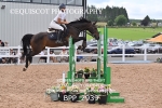 BPP_2939