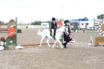 SBM_09958