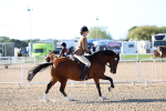 SBM_08753