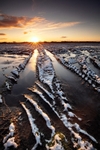 winters-fallow