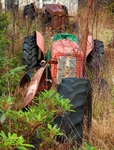 Tractor graveyard